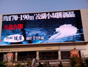 深圳香蜜湖日亞戶外LED顯示屏 220平方米的視覺巨幕引領城市新風尚